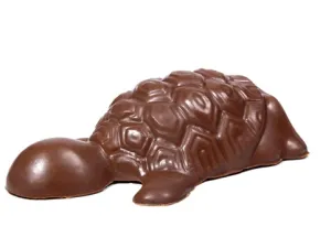 Chocolate Turtles