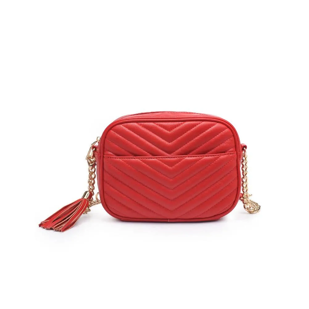 Elodie Chevron Camera Bag Crossbody