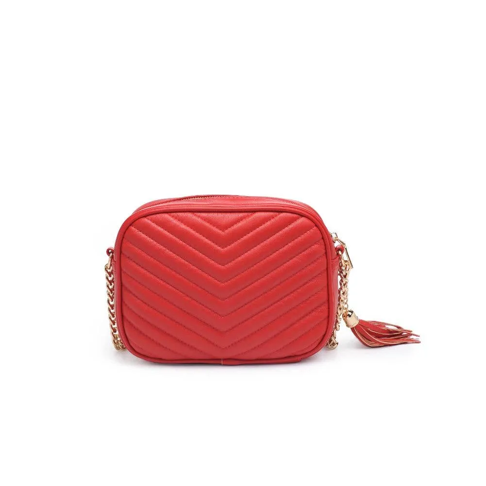 Elodie Chevron Camera Bag Crossbody