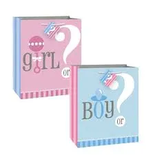 Gender Reveal Gift Bag