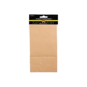 Kraft Paper Gift Bag PPP Packet Medium 13x24cm 3pack