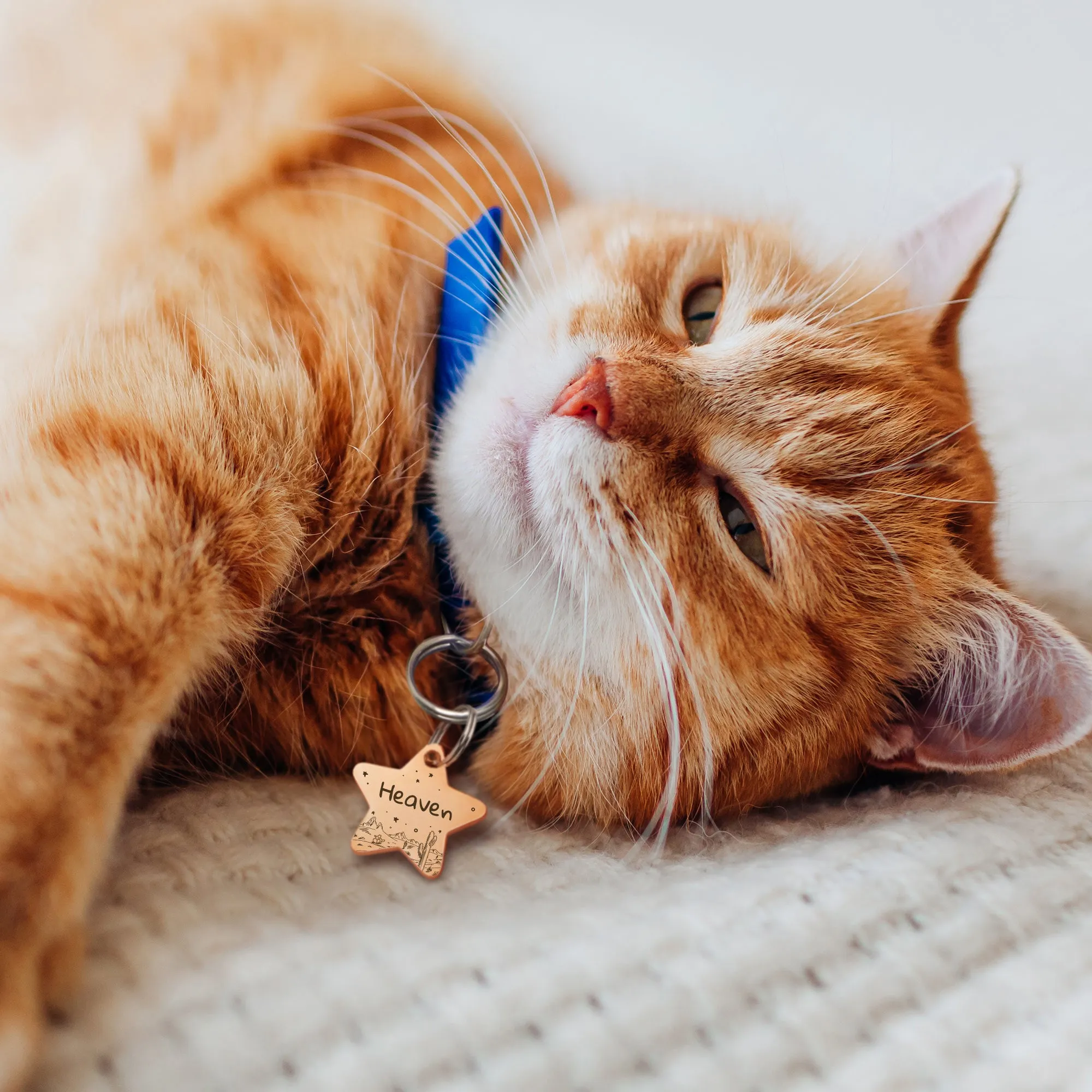 Star Shaped Desert Starry Sky Themed Pet Tag